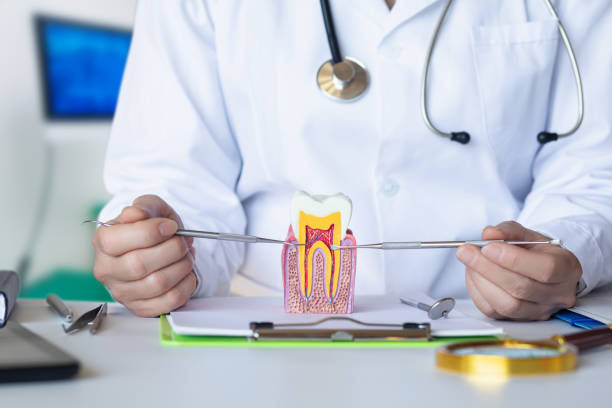 Best Orthodontic Emergency Dentist in Concord, AL